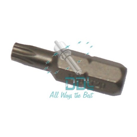 33D171 TX20 Torx Bit