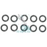 50D080-S Sealing Ring CP1K Inlet/Outlet