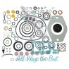 9109-210 DPC Gasket Kit with Boost