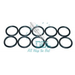 Seal Ring (Iveco)