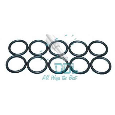 Seal Ring (Iveco)