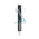 Common Rail Delphi Injector R05601D