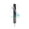 Common Rail Delphi Injector R05601D