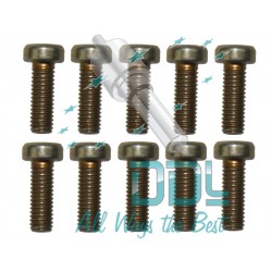 SCREW -PK 10