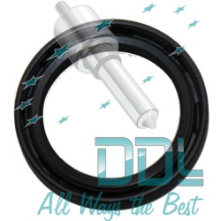 DPC OIL SEAL (SPACO)