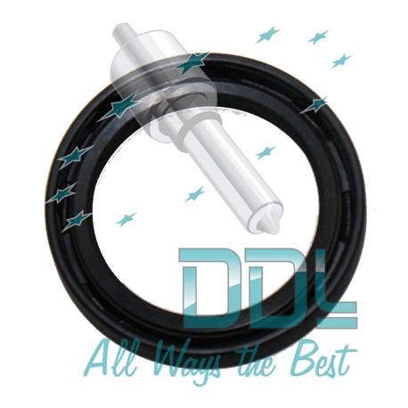 DPC OIL SEAL (SPACO)