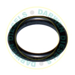 O RING