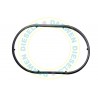 2440210049 Genuine Bosch Pump O-Ring