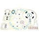 RGK306 Spaco Gasket Kit RPA.Gov Fiat