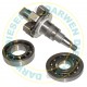 DRIVE SHAFT & BEARING KIT