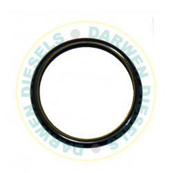 9442610273 Delivery Valve Holder O-Ring