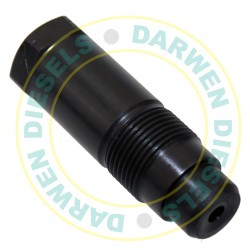 NOZZLE CAP NUT