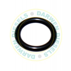 9007-497CT Genuine O-Ring