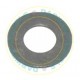 7169-560GA Genuine Shim