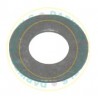 7169-560GA Genuine Shim