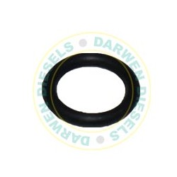 5855-30CT Genuine Sealing Ring