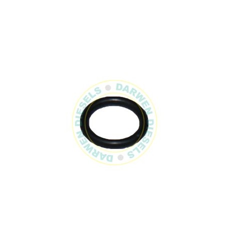 5855-30FZ Non Genuine Sealing Ring