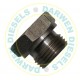 500137 Genuine Plug