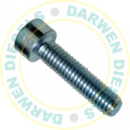 2910141203 Genuine Screw