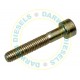 2910142207 Genuine Screw