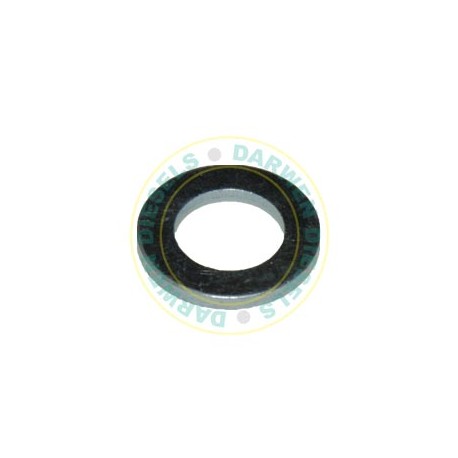 2916011015 Genuine Washer