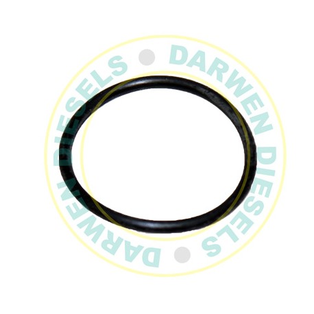 24341-000260 Genuine Yanmar O-Ring