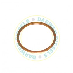 2440105000 Genuine Seal Ring