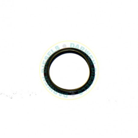 2440210019 Genuine Supply Pump Ring