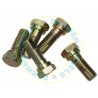 1463453306 Non Genuine Head Bolt