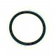 15D24 Pump Body Sealing Ring