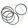 1420206001 Non Genuine Sealing Ring