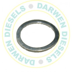 1460225075 Genuine Flat Seal Ring