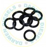 126067-7 Spaco Throttle Shaft Sealing Rings for Simms pumps