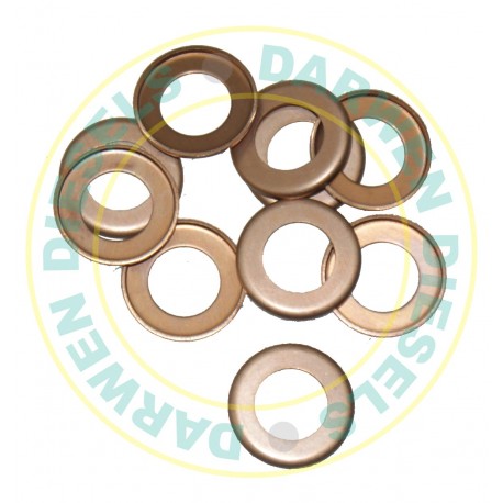 131115-1600 Non Genuine Delivery Valve Washer