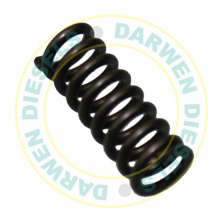 1414613002 Spaco Delivery Valve Spring