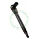 0445110121 Common Rail Bosch Injector 