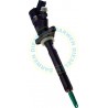 0445110259 Genuine Common Rail Bosch Injector 