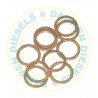 026510-1340 Non Genuine Delivery Valve Washer