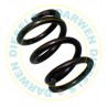 1424634026 Non Genuine Spring