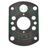 7095-156 NG Gear Pump Gasket NNL/R